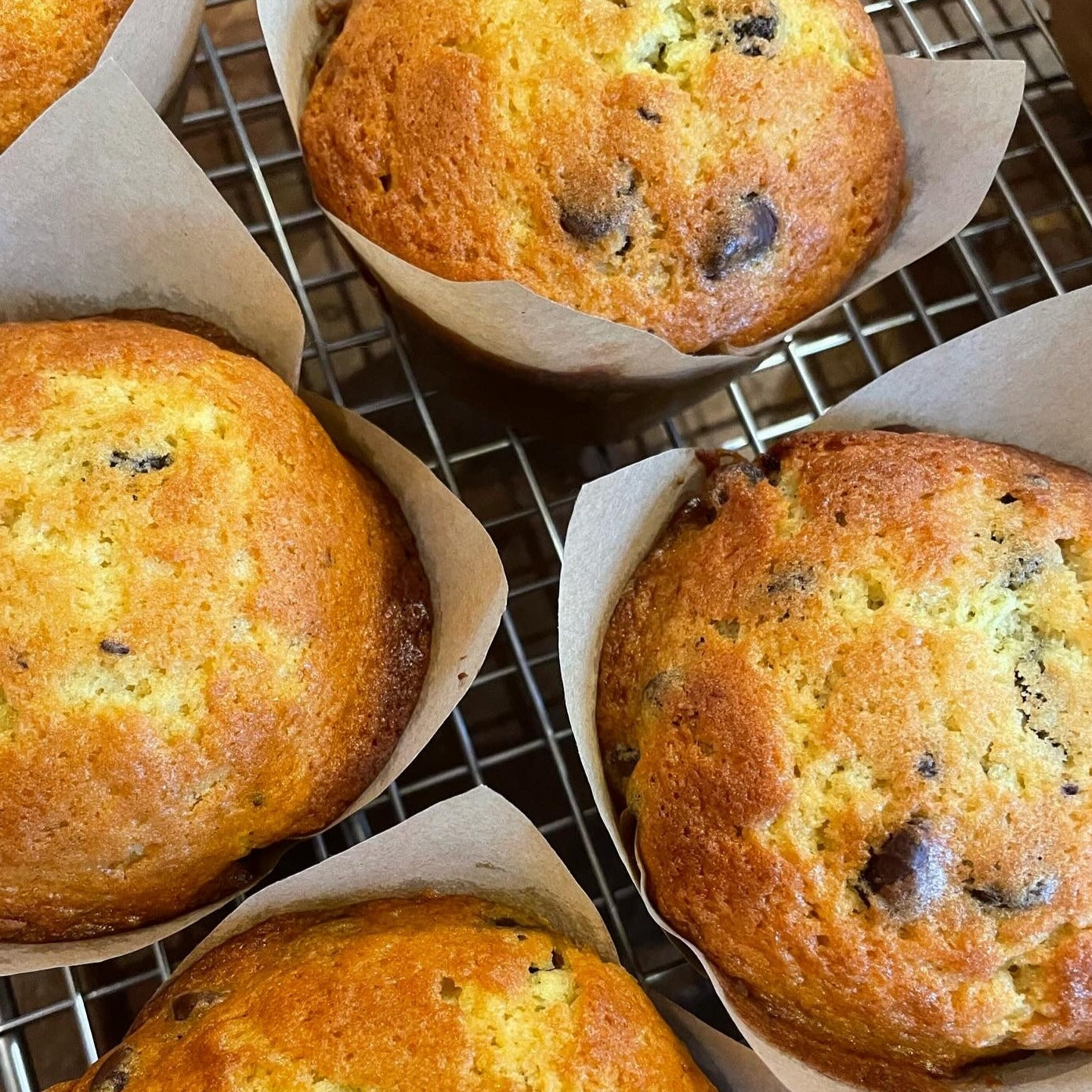 Chocolate Chip Muffins