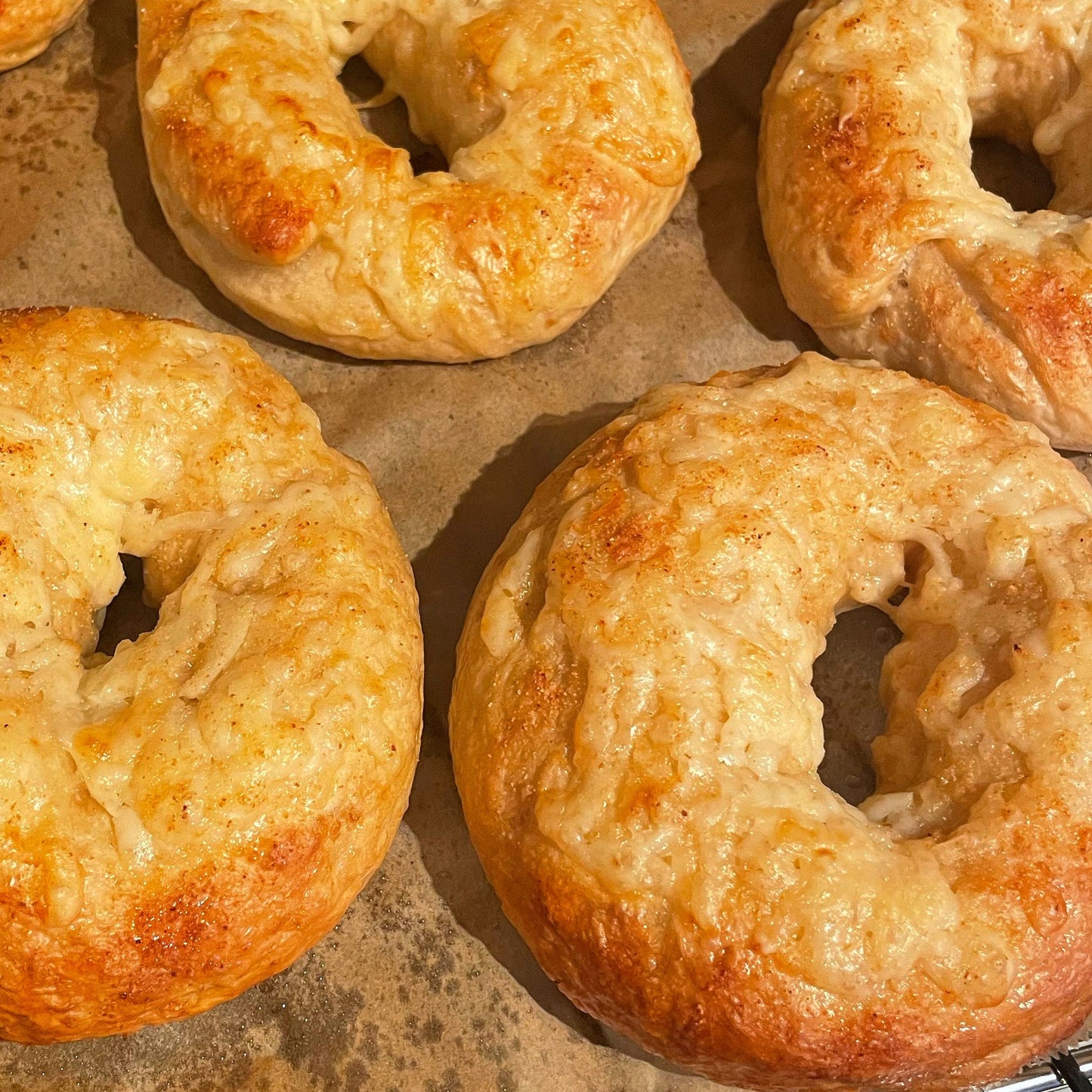 Asiago Garlic Bagel